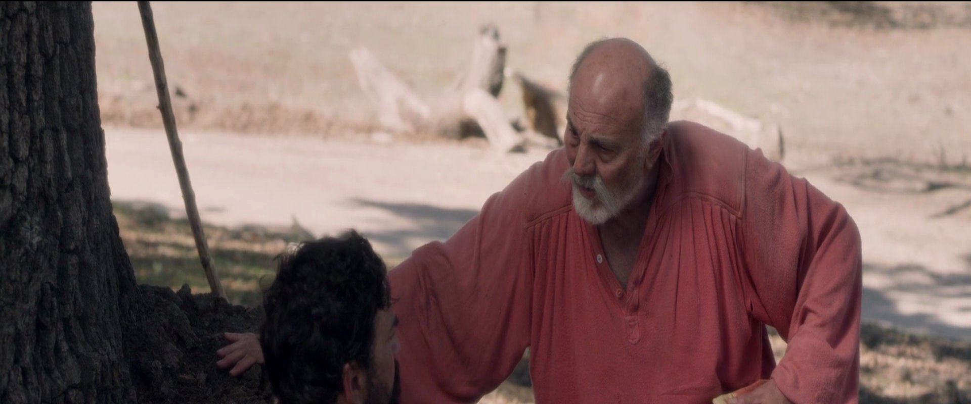 Don Quixote: The Ingenious Gentleman of La Mancha