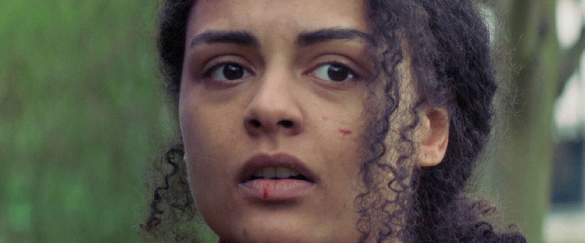 Doppelherz's banner image