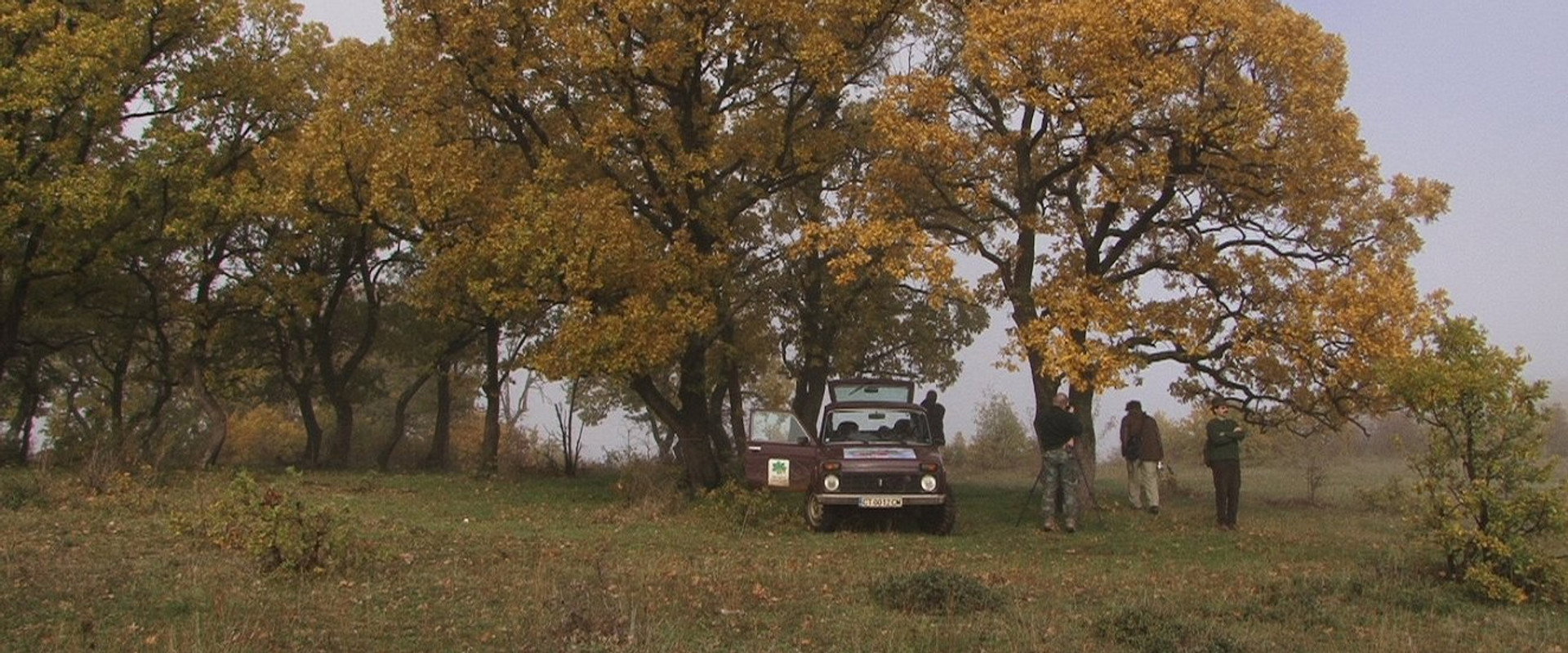 Přežili rok 2000