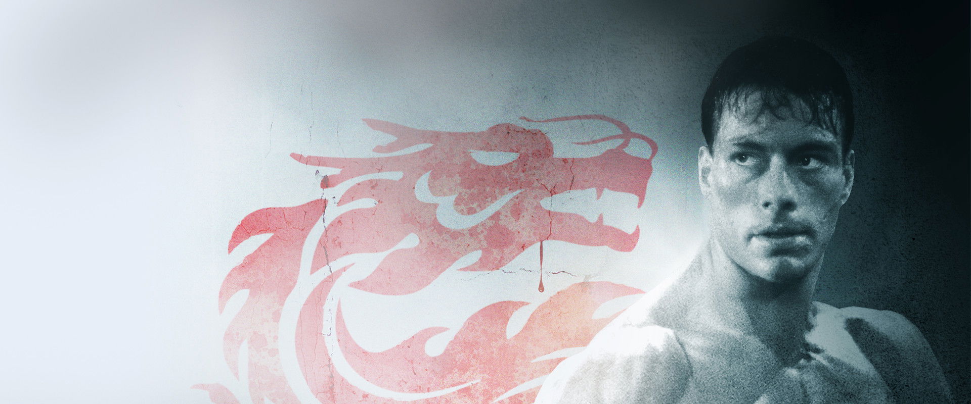 Bloodsport's banner image