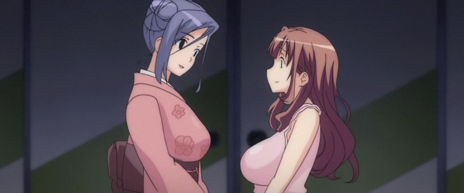 Kagachi-sama Onagusame Tatematsurimasu: Netorare Mura Inya Hanashi The Animation