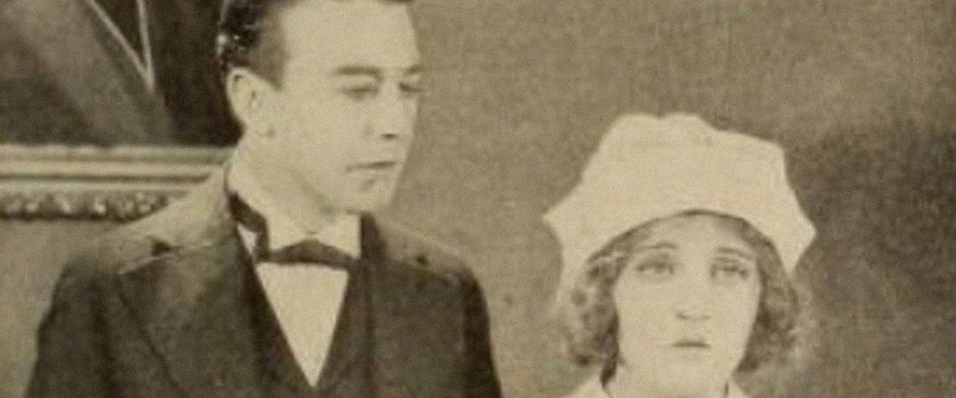 The Primrose Ring's banner image