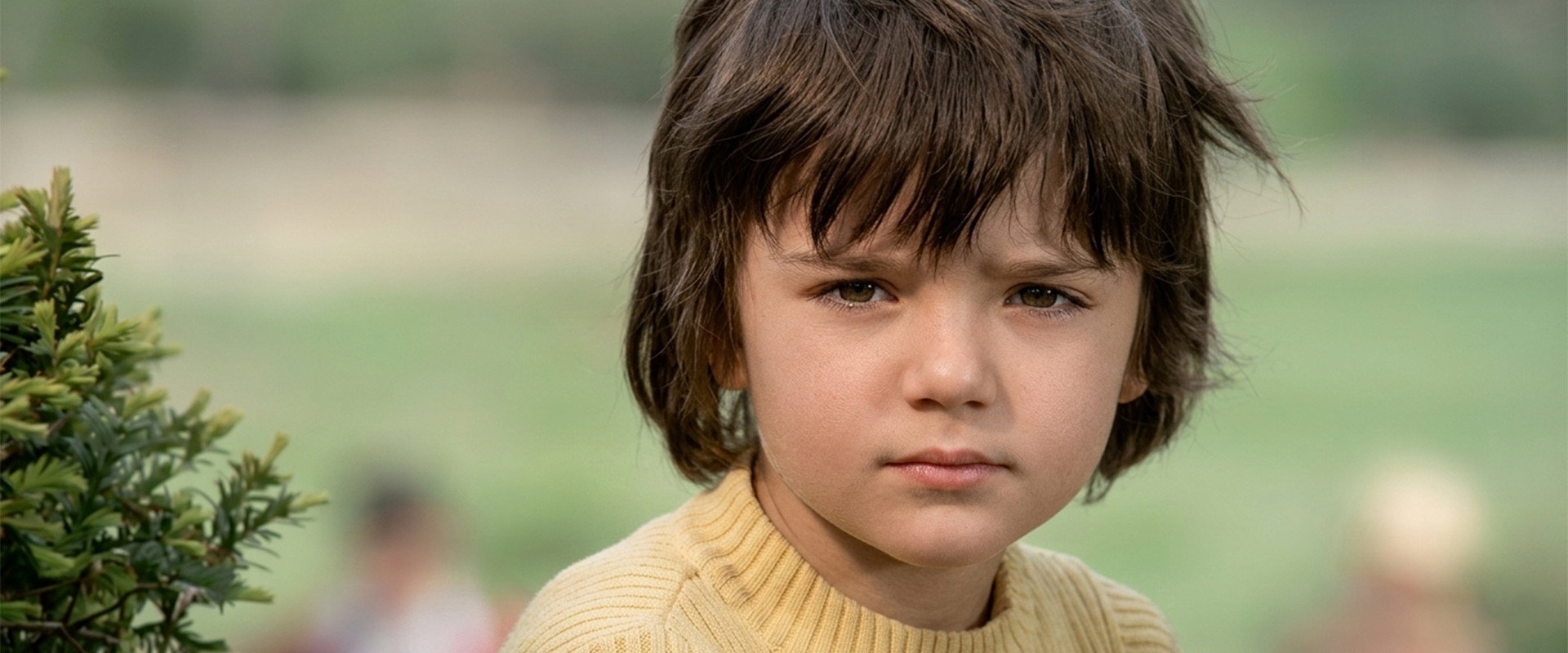Sezercik Aslan Parçası's banner image