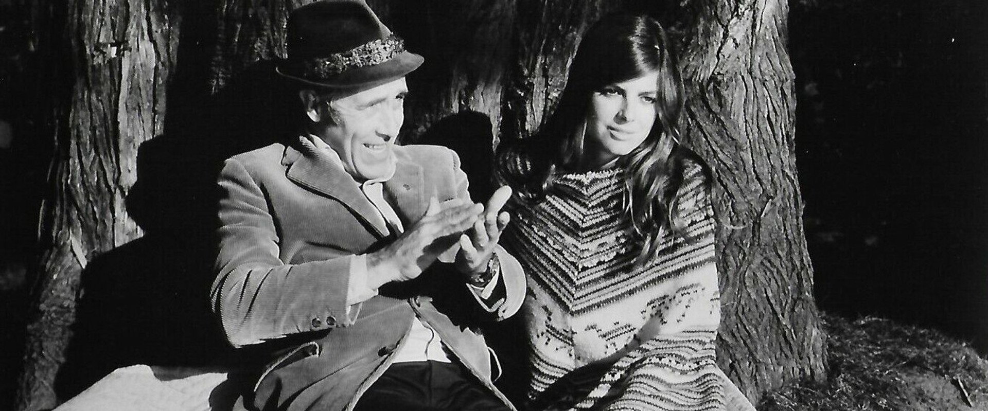 Fools's banner image