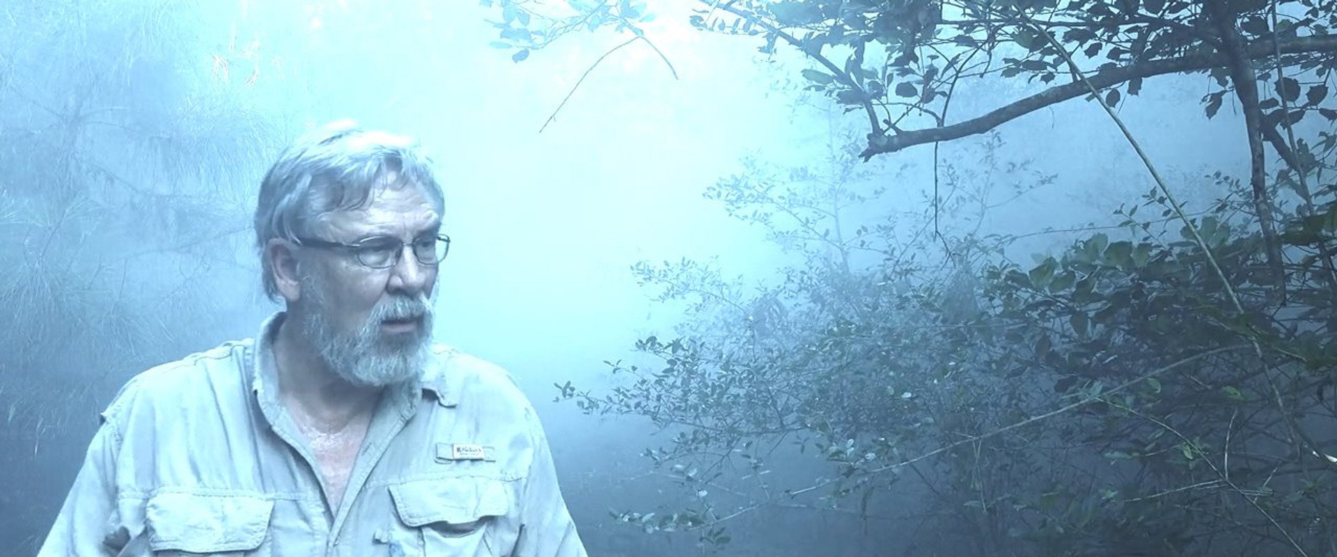 Alone with Bigfoot