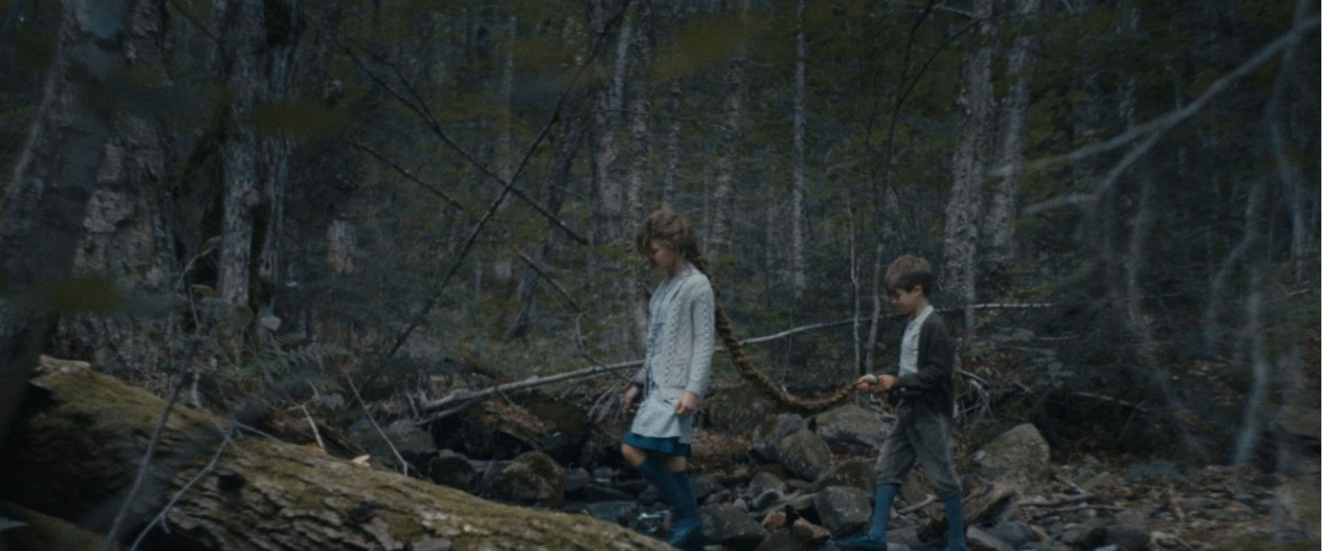 The Toll's banner image