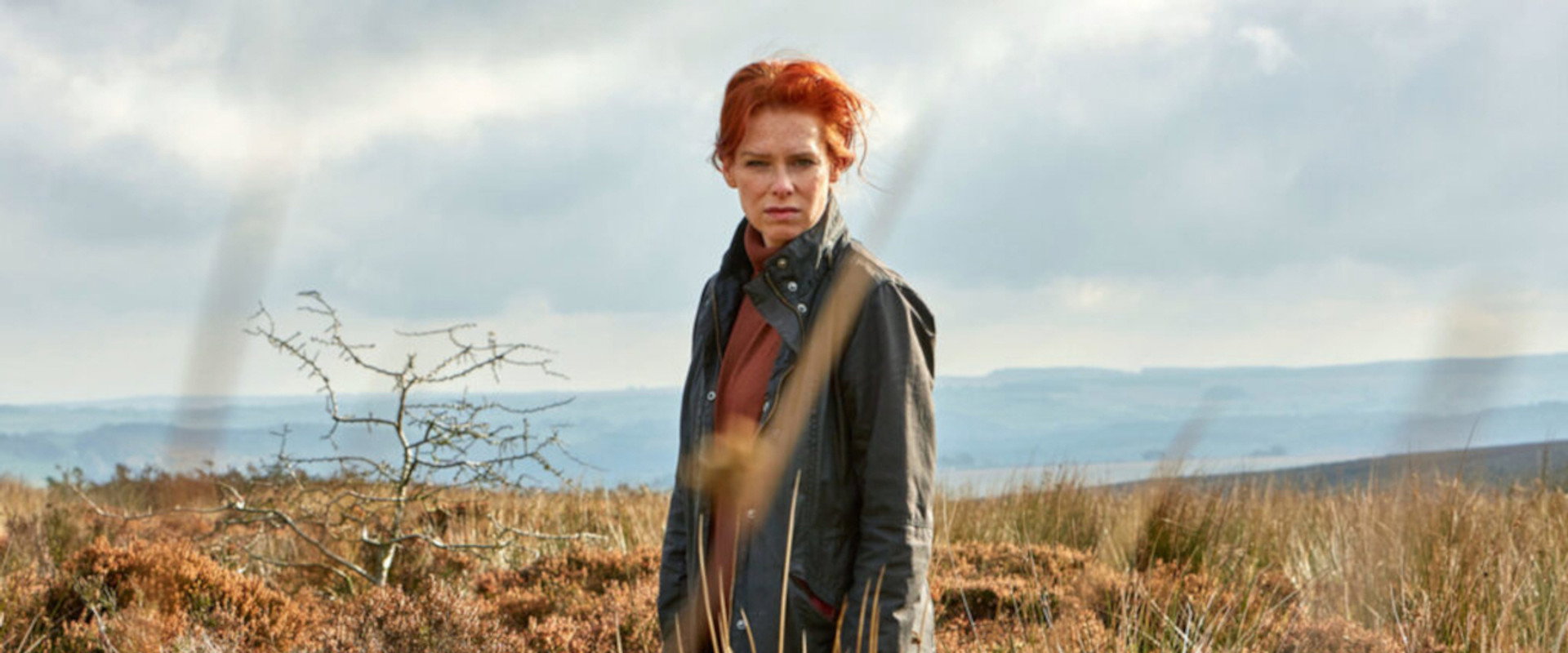 Charlotte Link - Die Suche's banner image