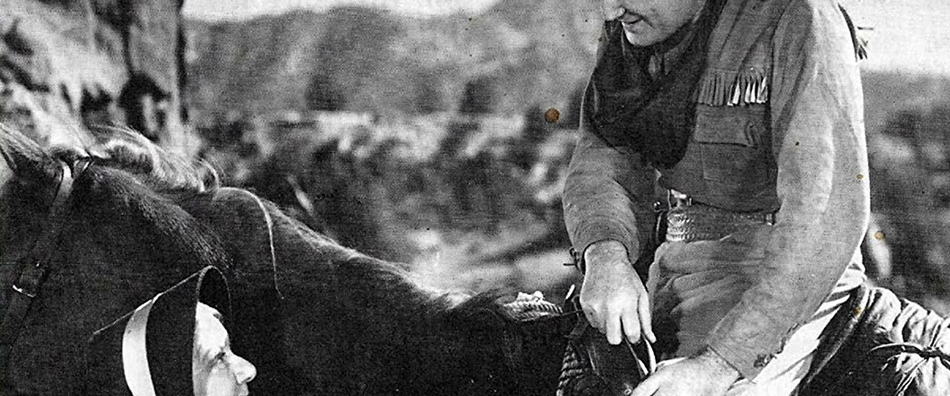 Yellow Dust's banner image