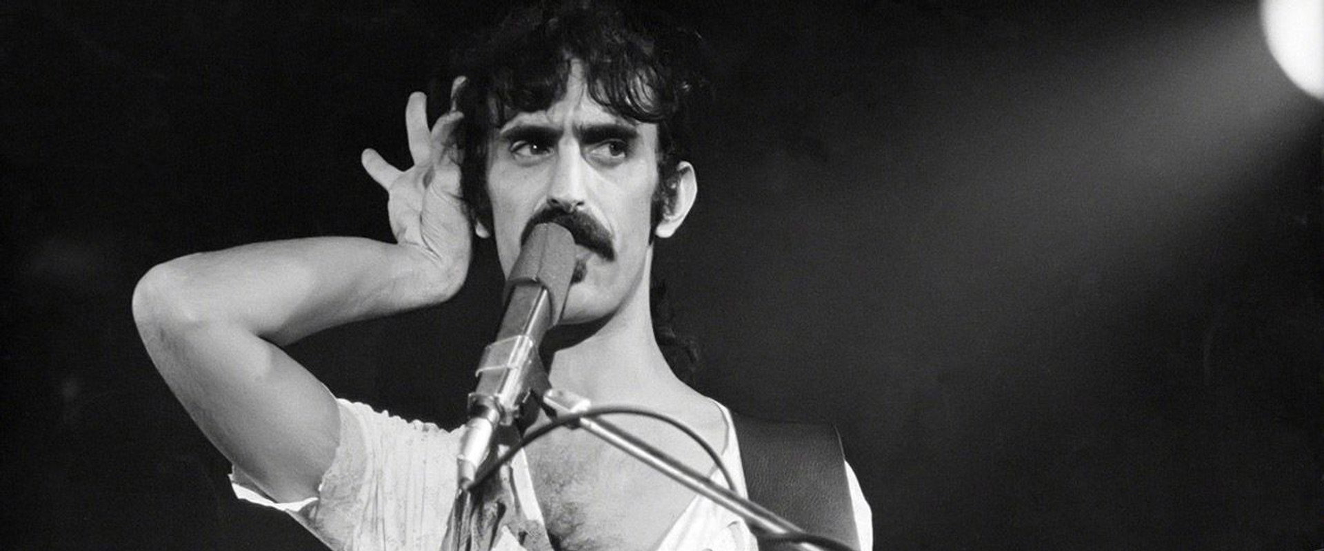 Frank Zappa: The Freak Out List