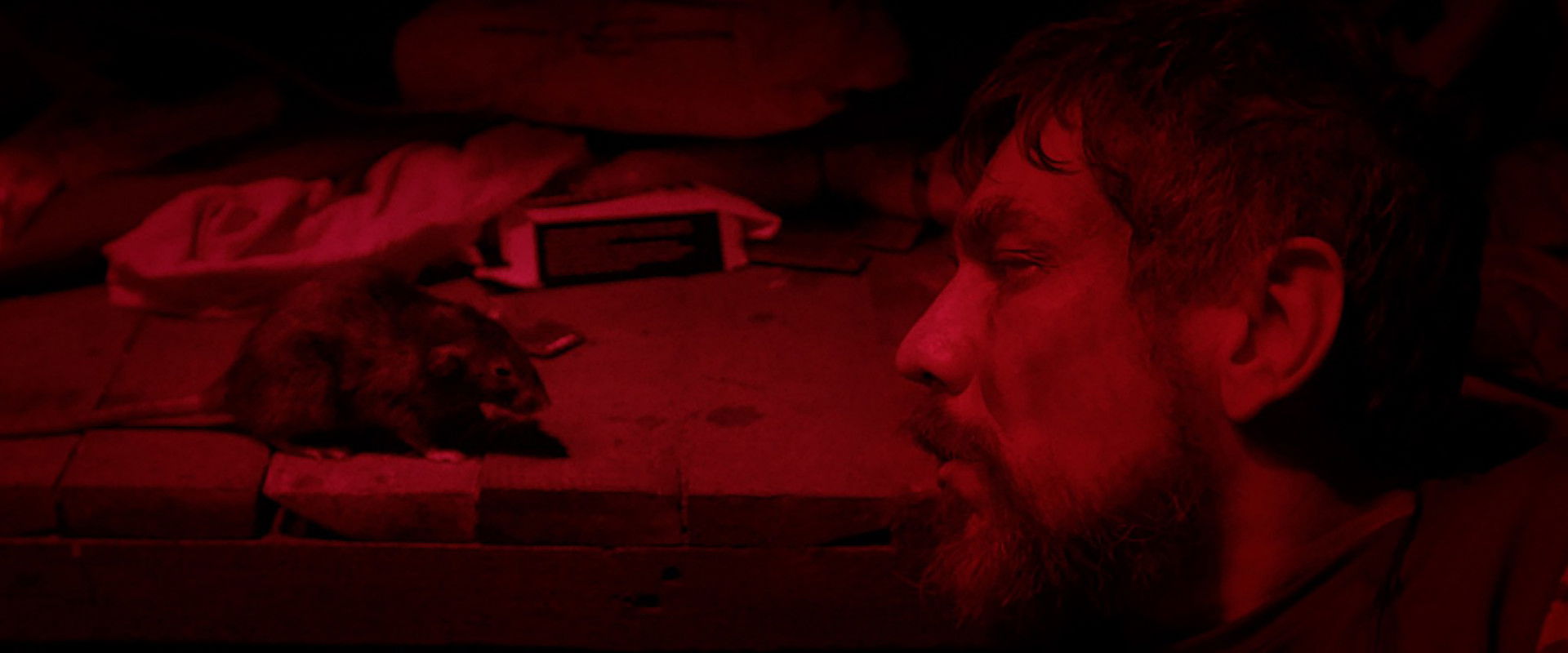 The Mousetrap's banner image