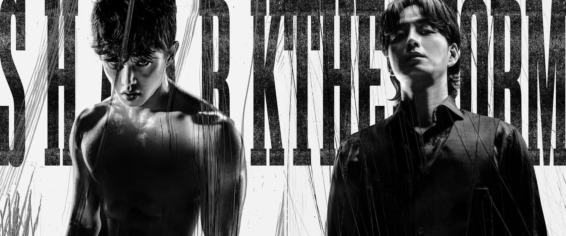 Shark: The Storm's banner image