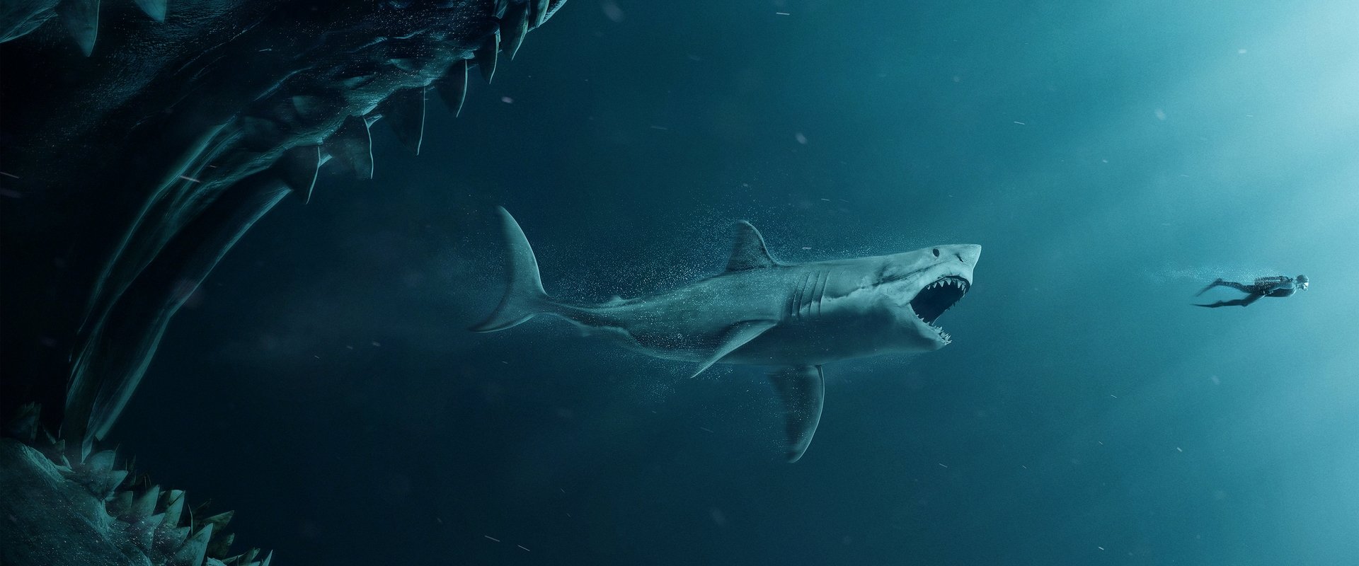 The Meg