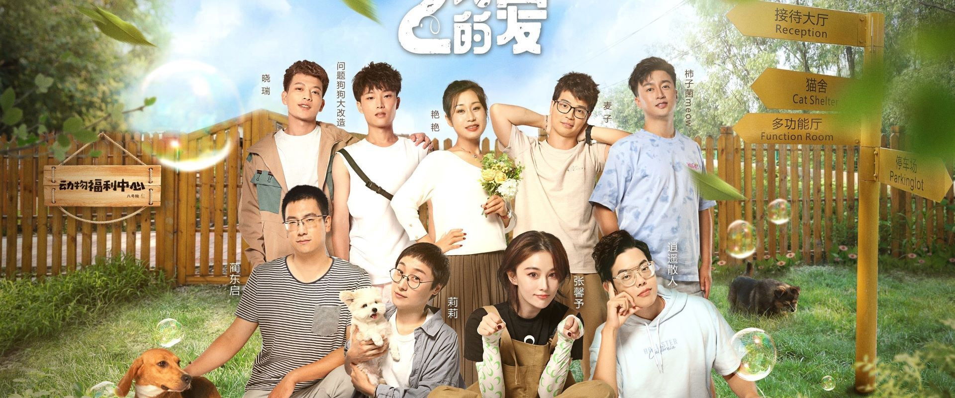 百分之二的爱's banner image