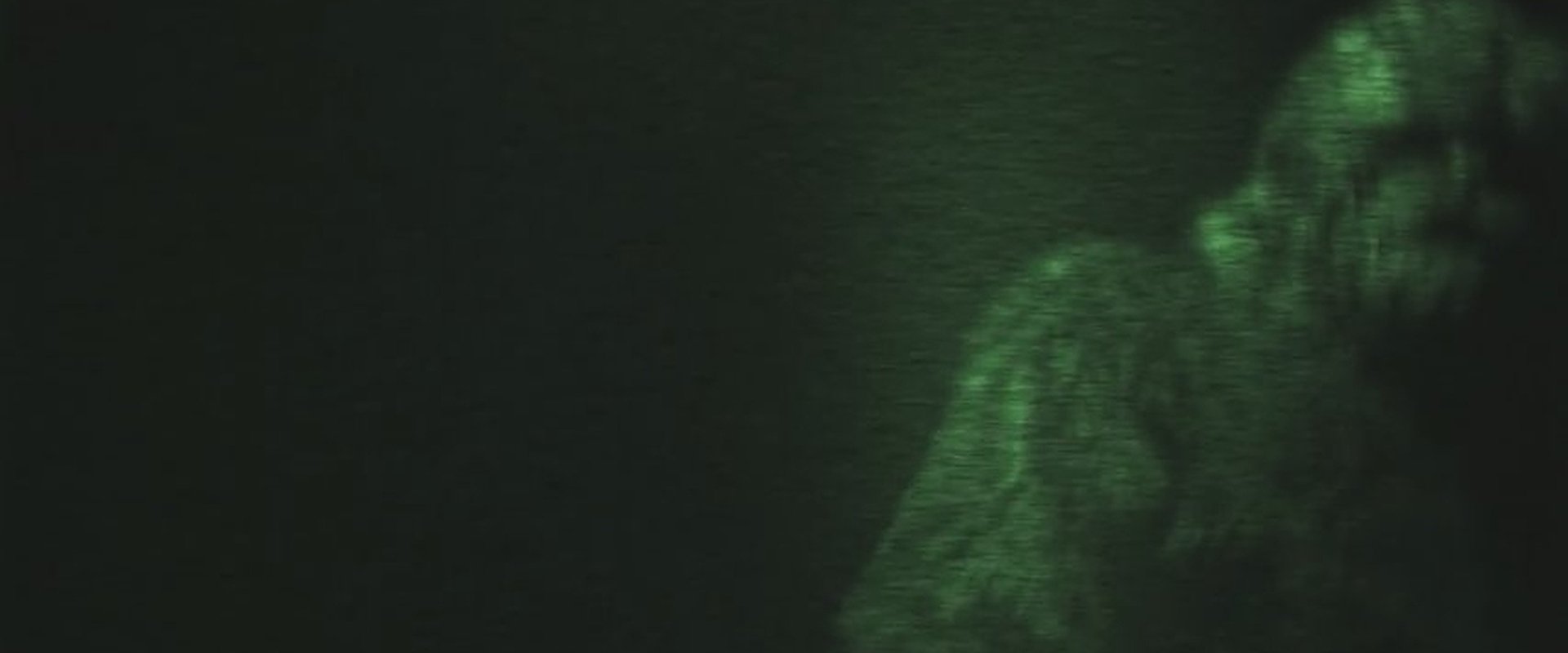 On the Trail of Bigfoot: The Journey