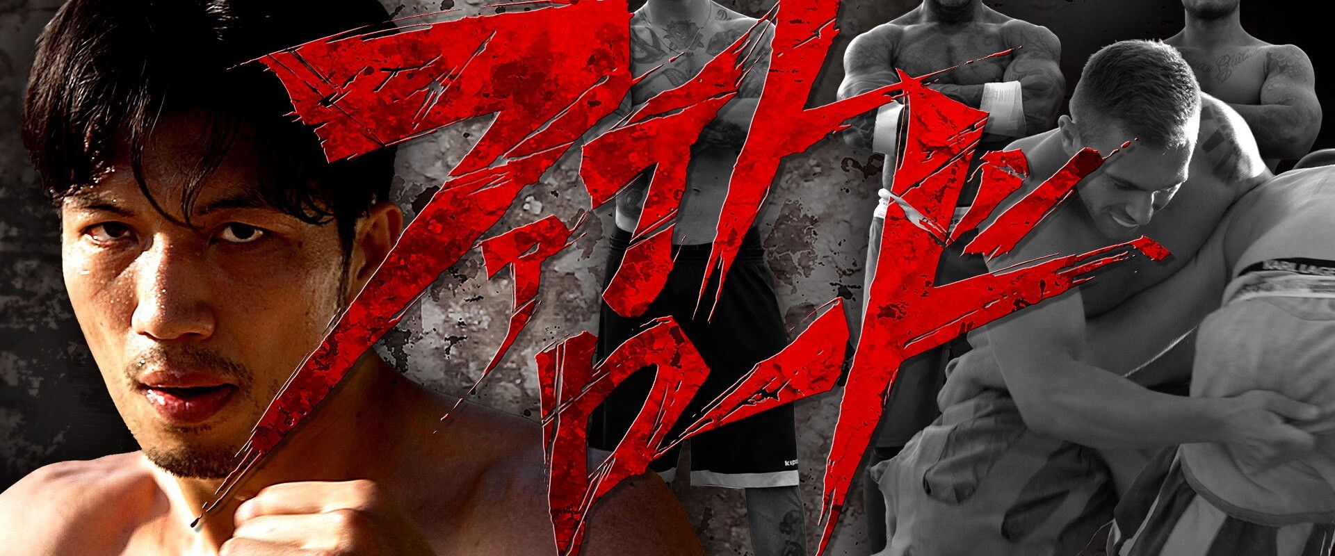 FIght Road's banner image