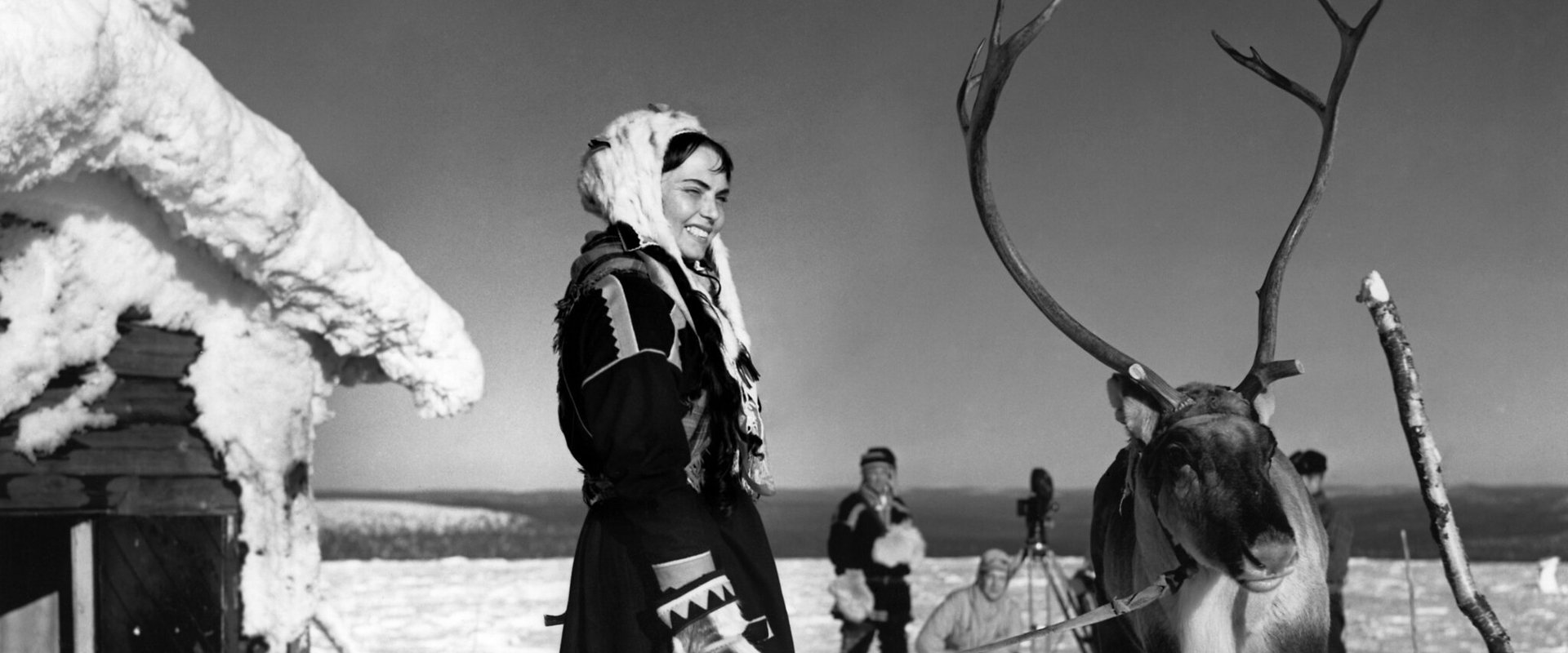 The White Reindeer