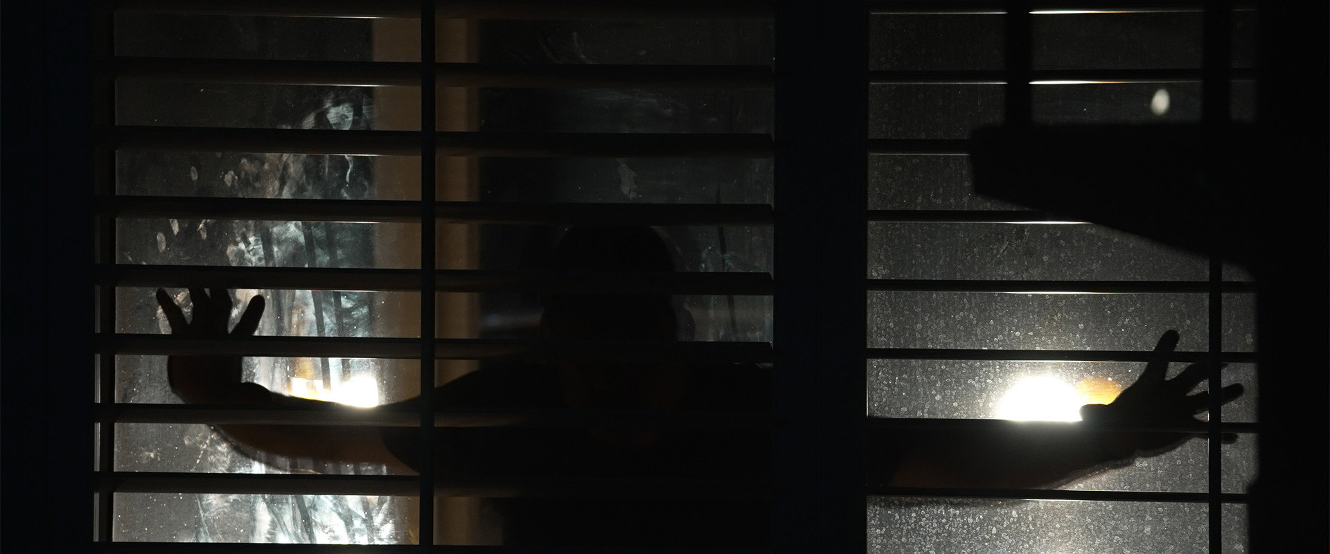 Spread: Pigs to Slaughter's banner image