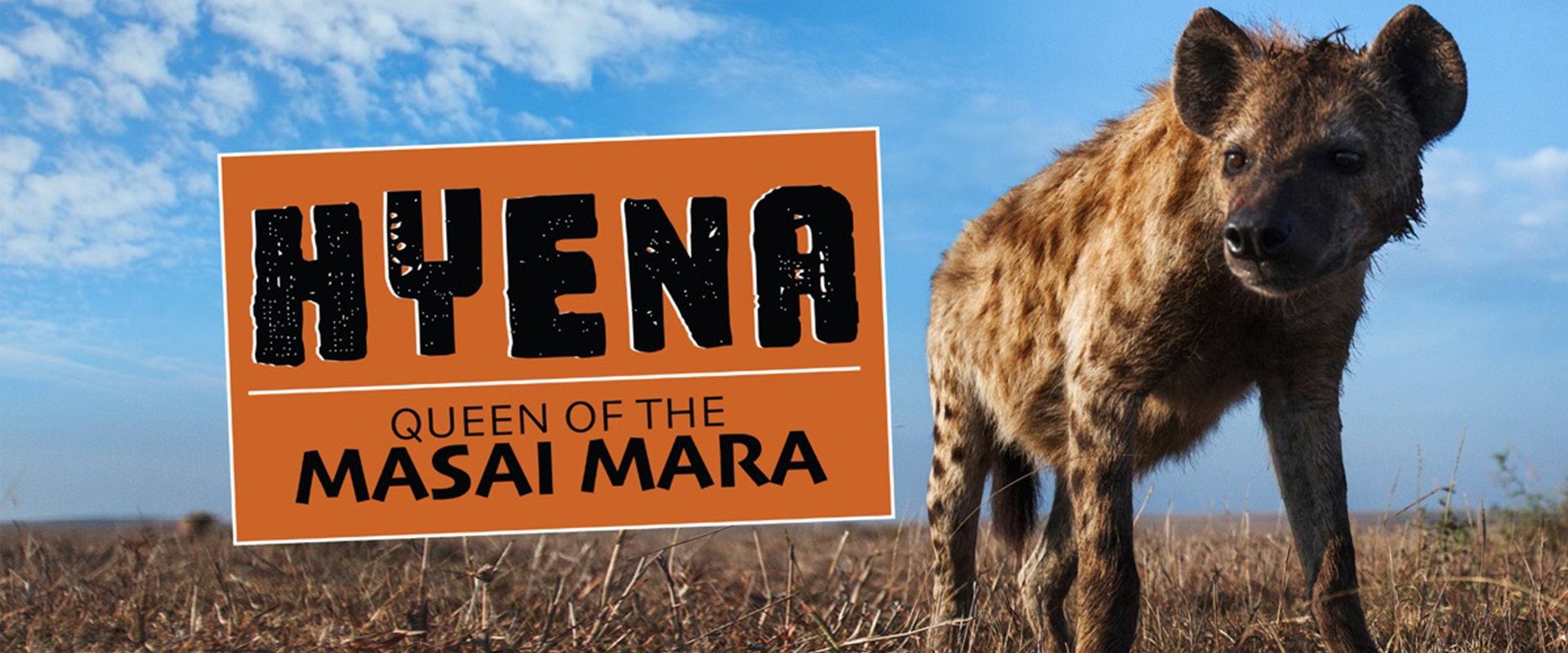 Hyena: Queen of the Masai Mara