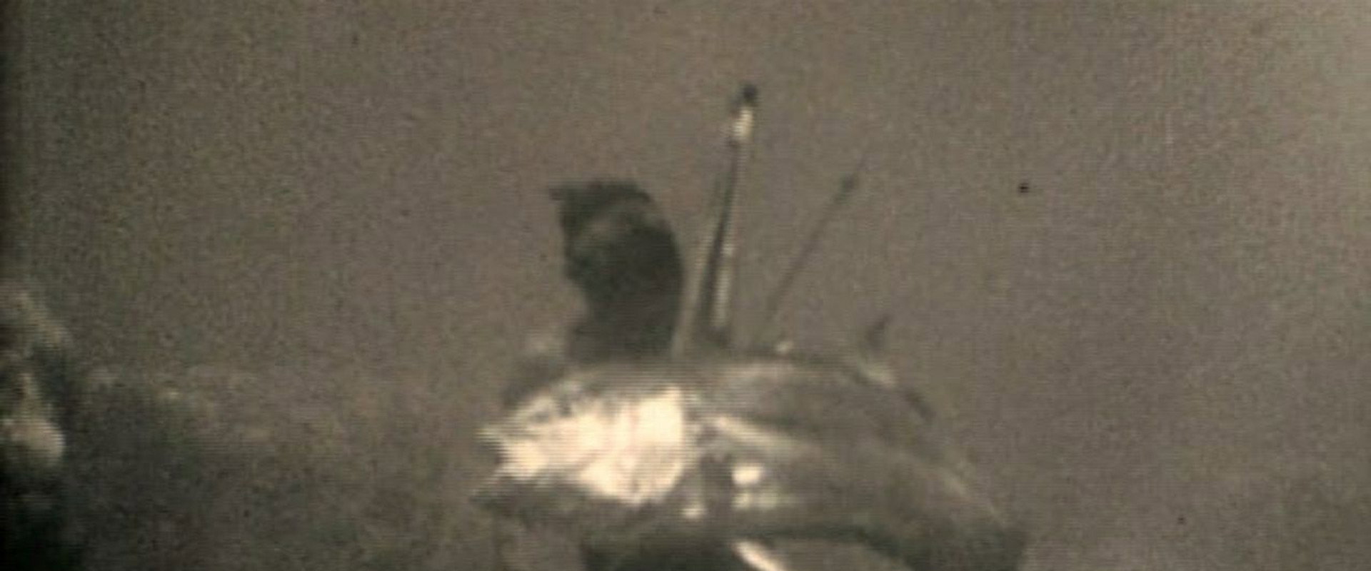 At a Depth of Eighteen Meters's banner image