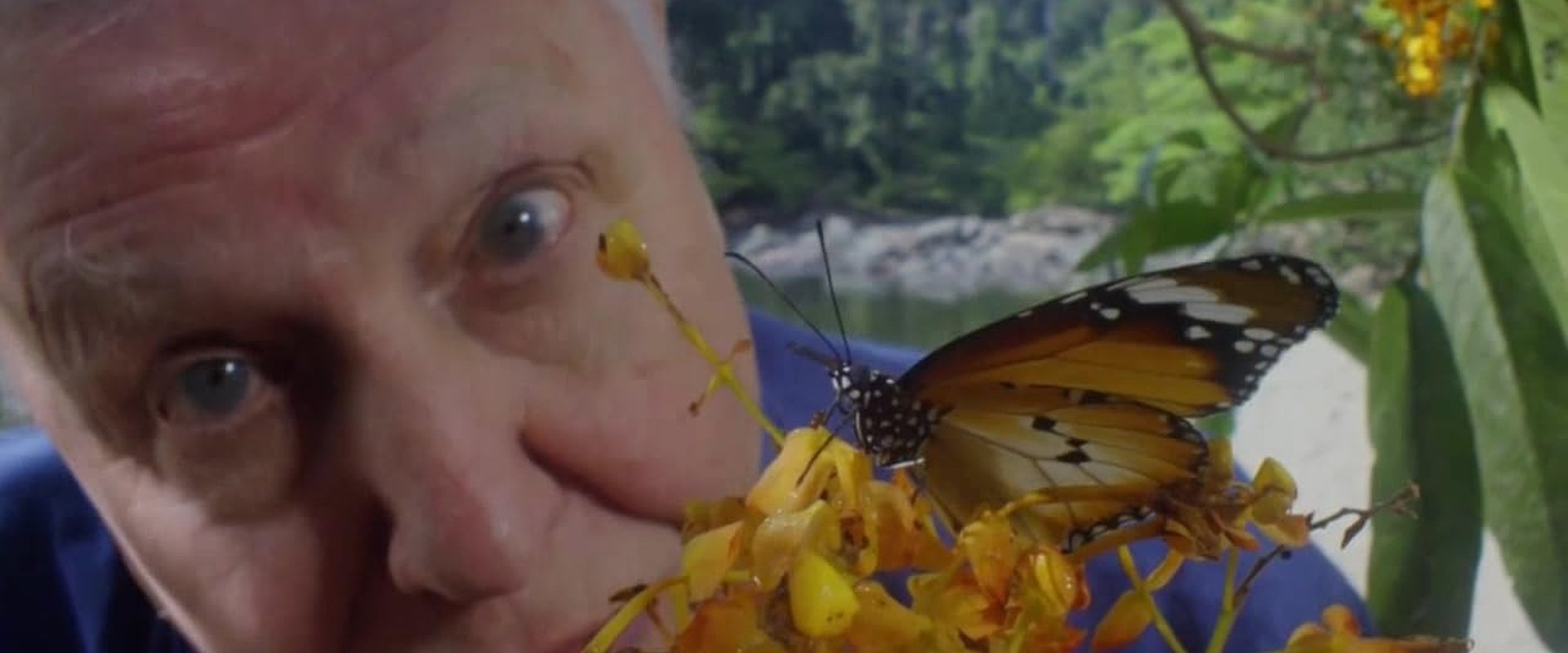 David Attenborough's Conquest of the Skies