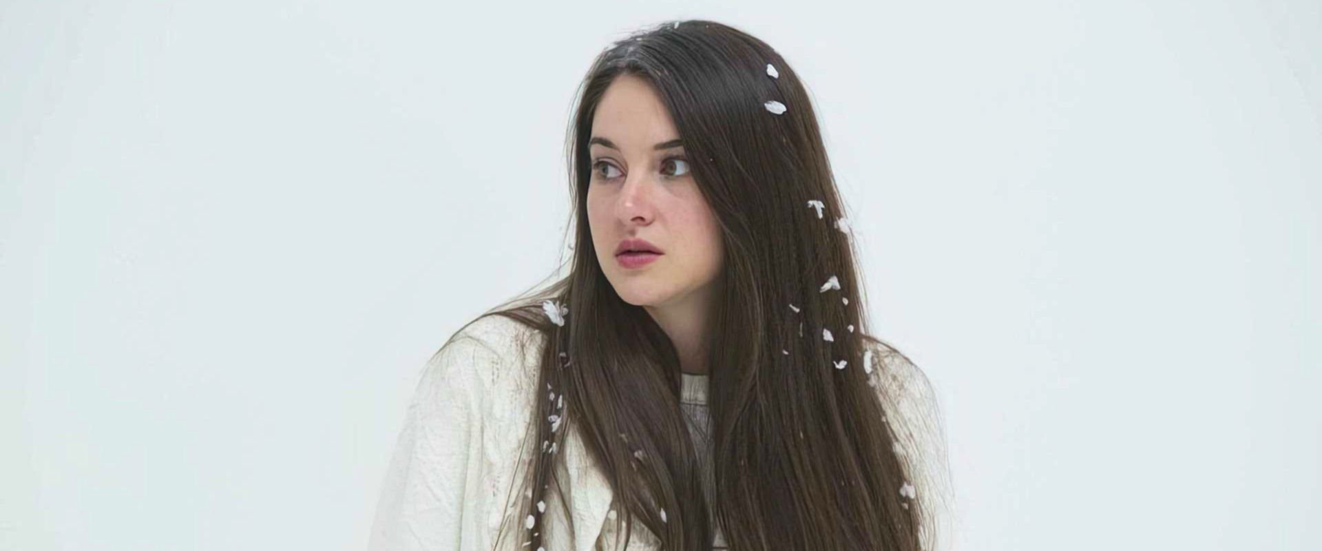 White Bird in a Blizzard