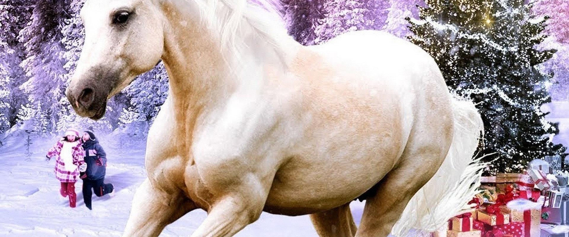 My Christmas Pony
