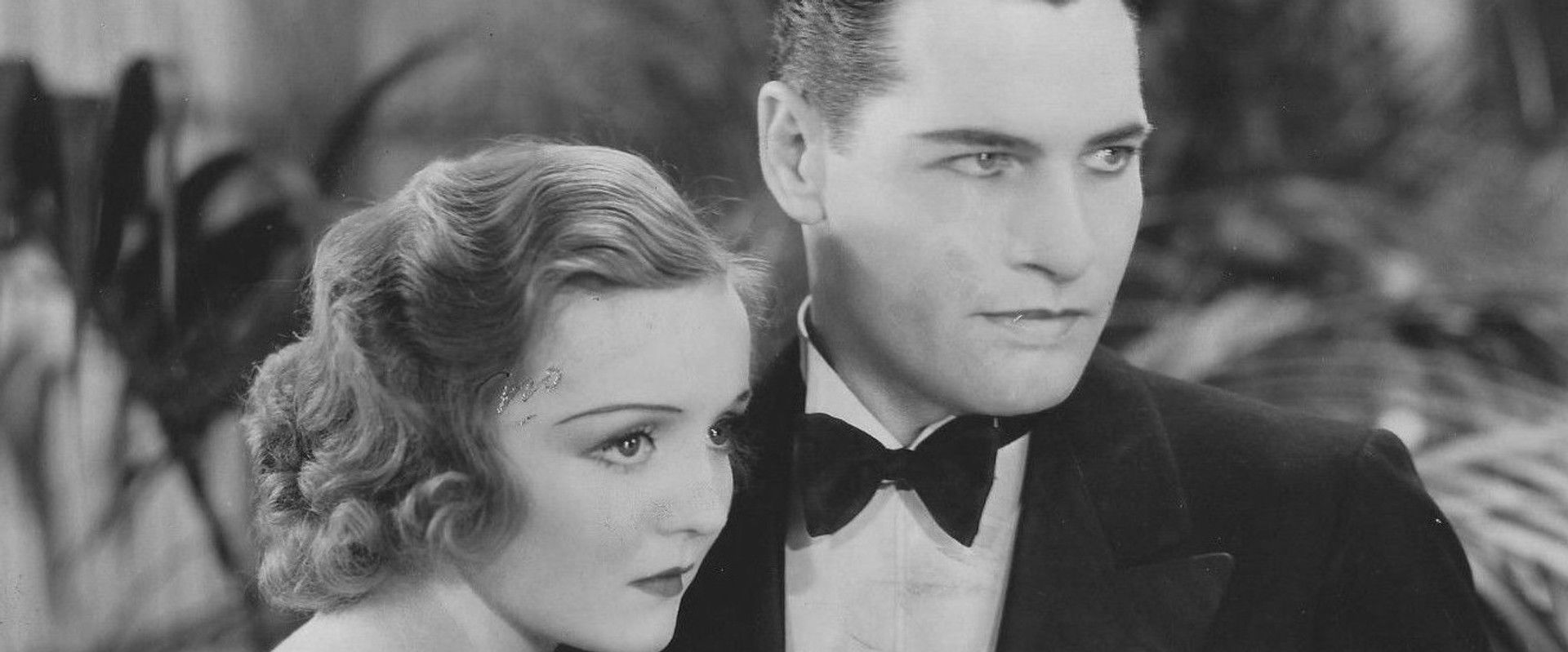 Wayward's banner image