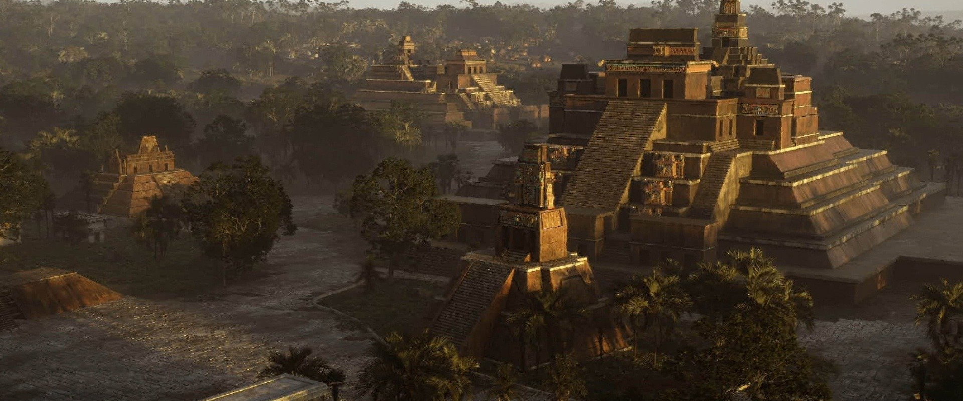 The Rise and Fall of the Maya
