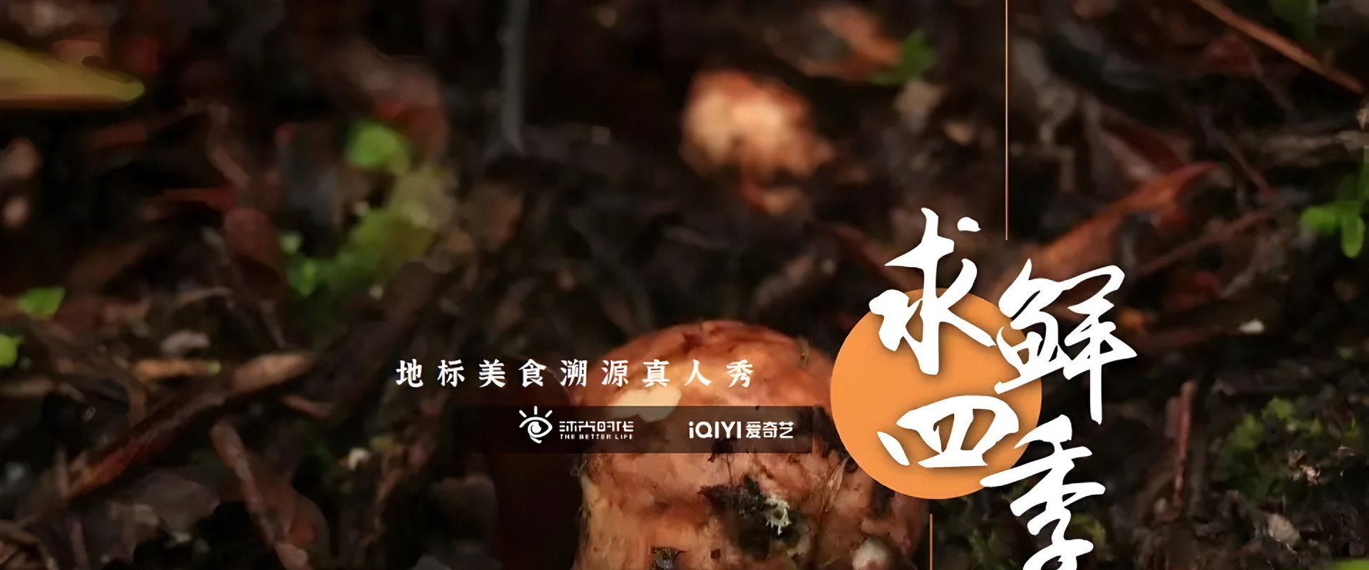 求鲜四季's banner image