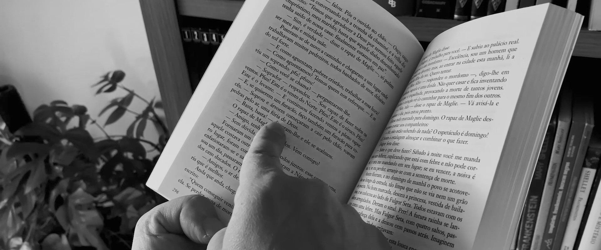 Do Pó ao Pó's banner image