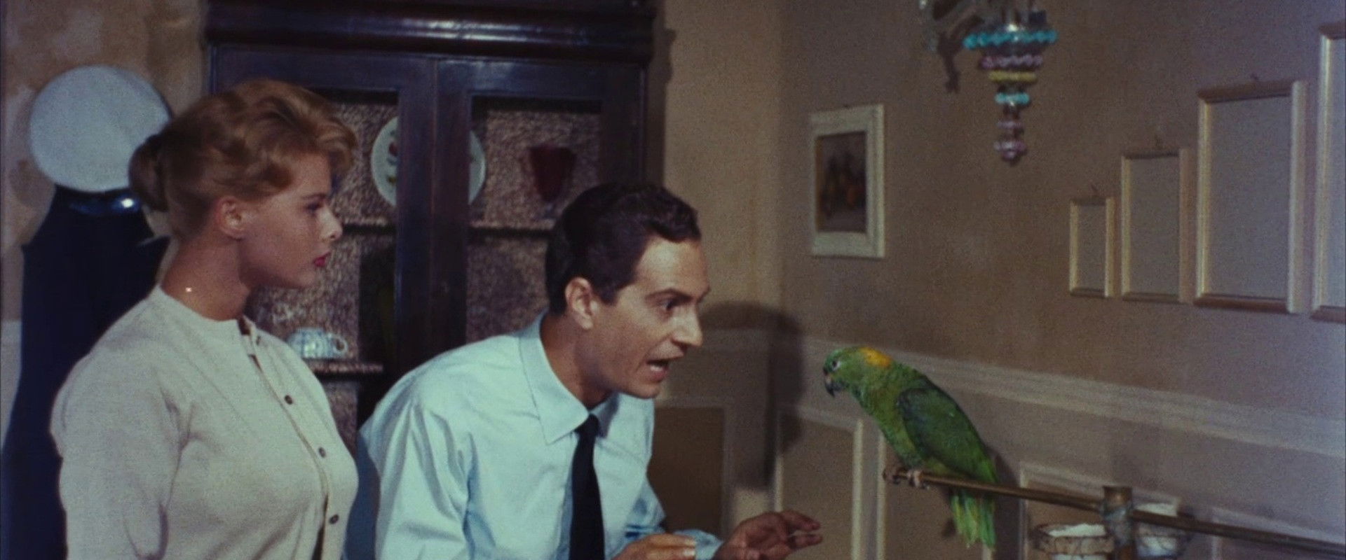 Venice, the Moon and You's banner image