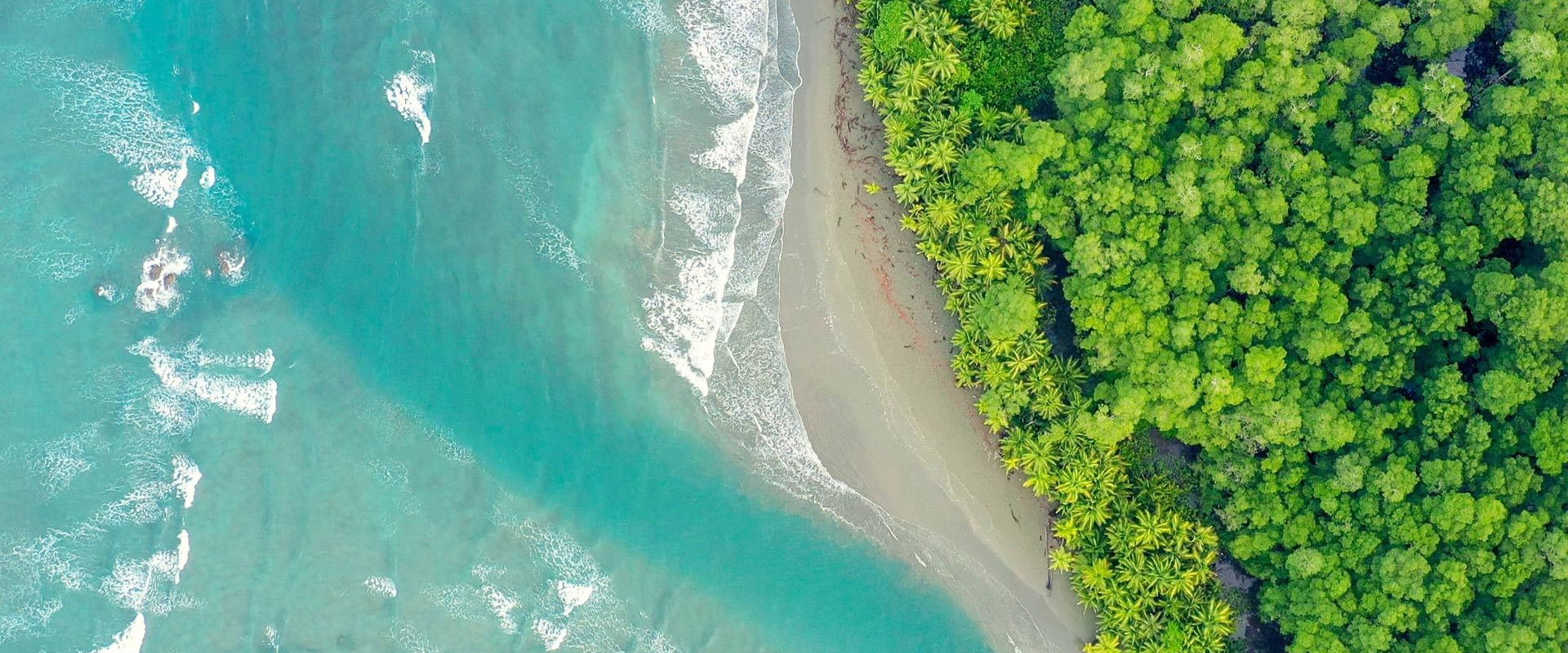 Costa Rica: The Rise of Nature