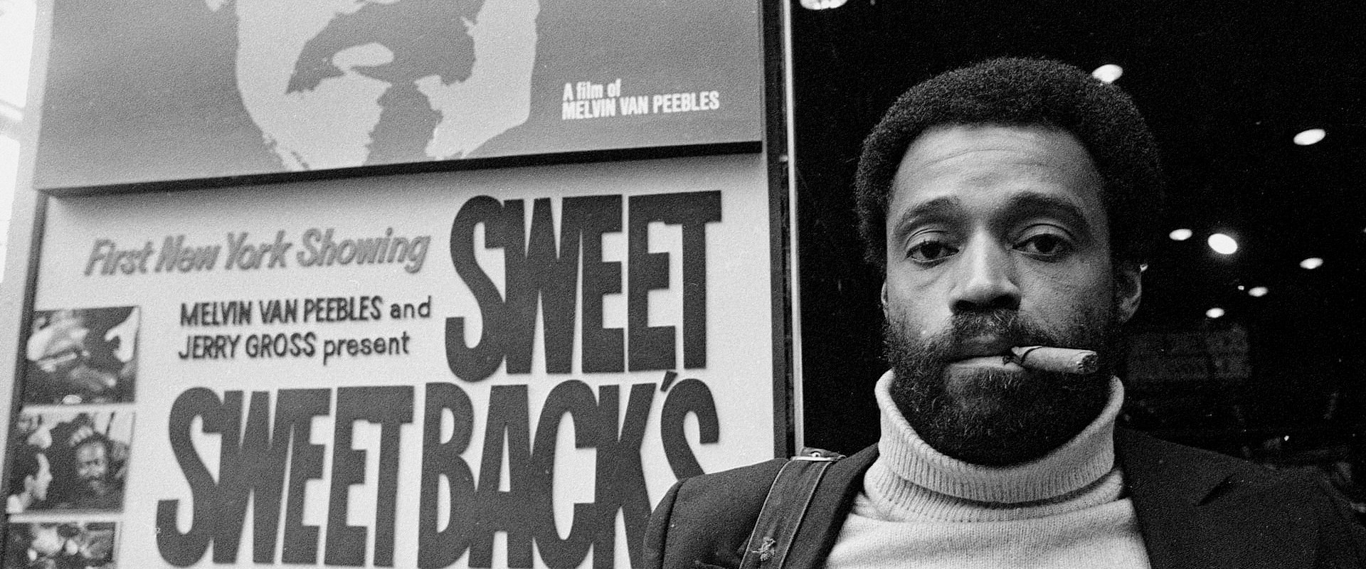 Sweet Black Film: The Birth of the Black Hero in Hollywood