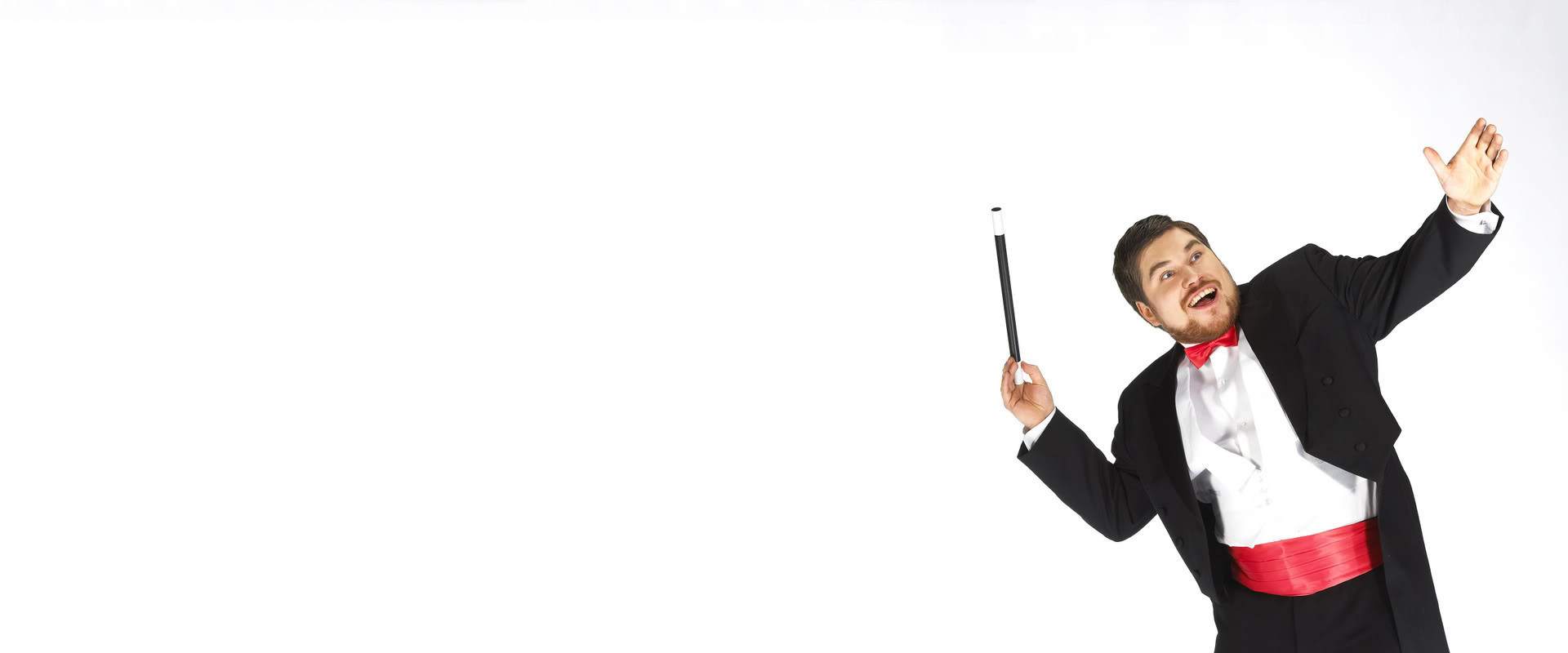 Mr. Poxycat & Co's banner image