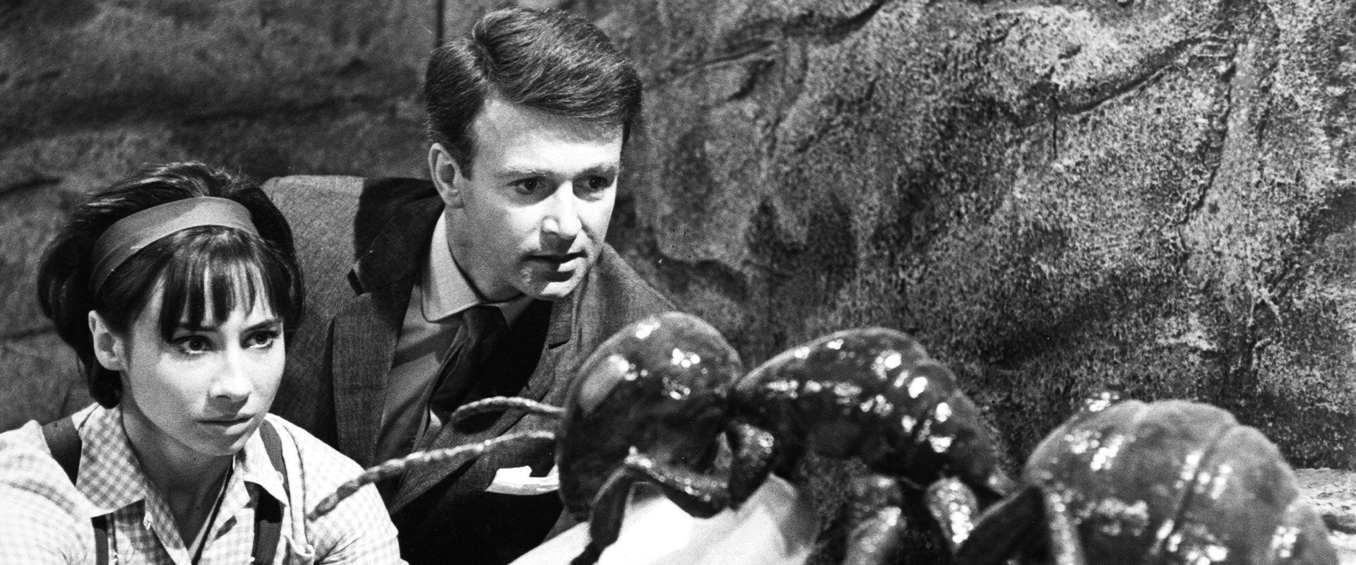 Doctor Who: Planet of Giants