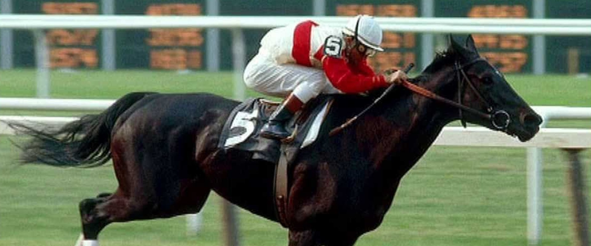 Ruffian