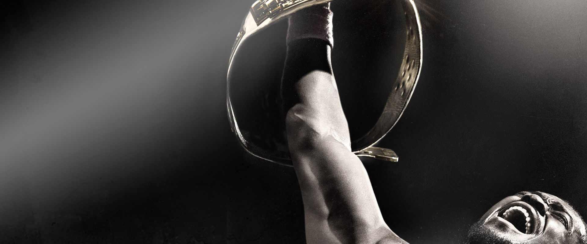 WWE Night of Champions 2013's banner image