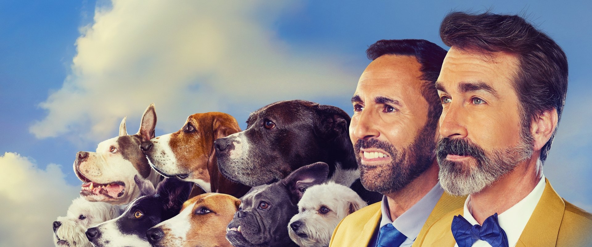 2022 American Rescue Dog Show