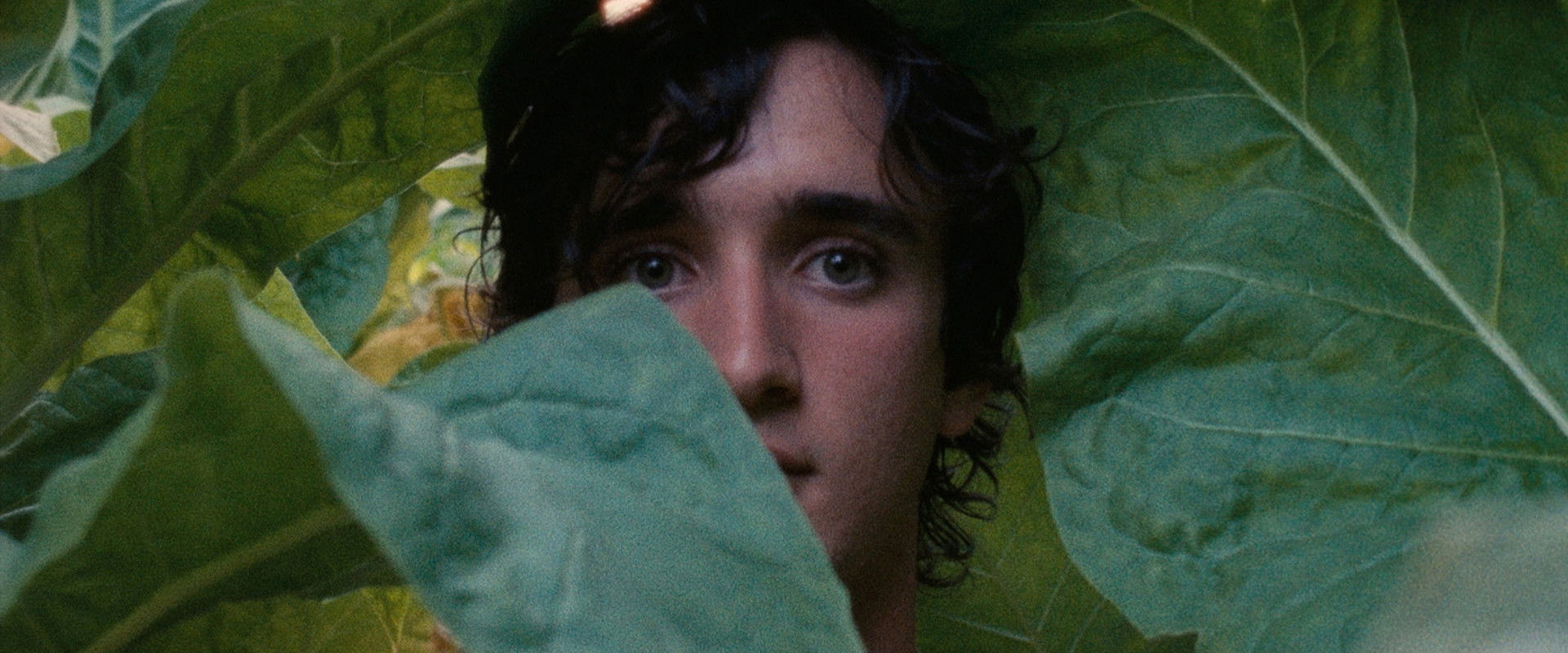 Heureux comme Lazzaro