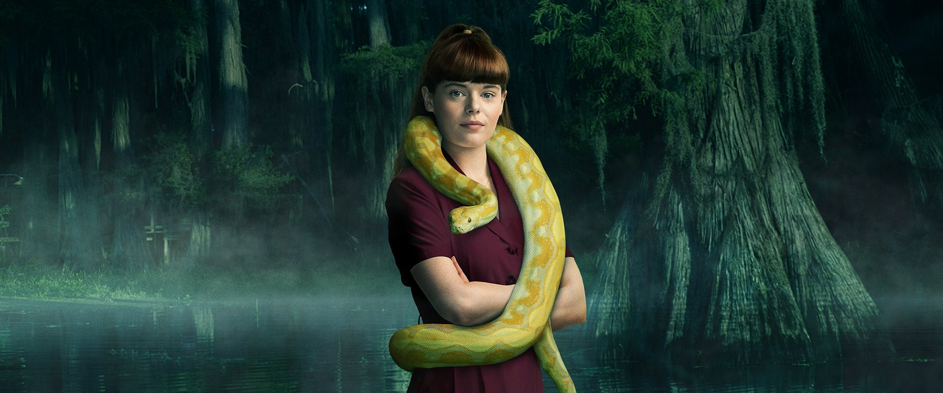 V.C. Andrews' Hidden Jewel