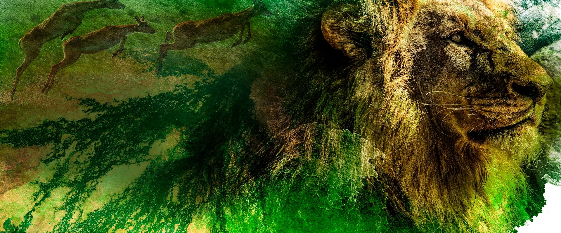 Okavango: River of Dreams - Director's Cut