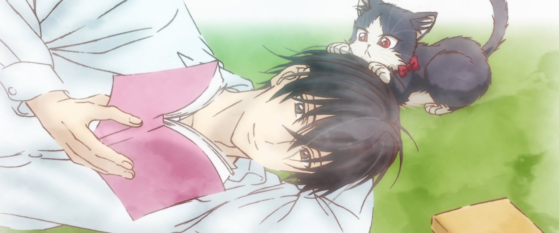 My Roommate is a Cat's banner image