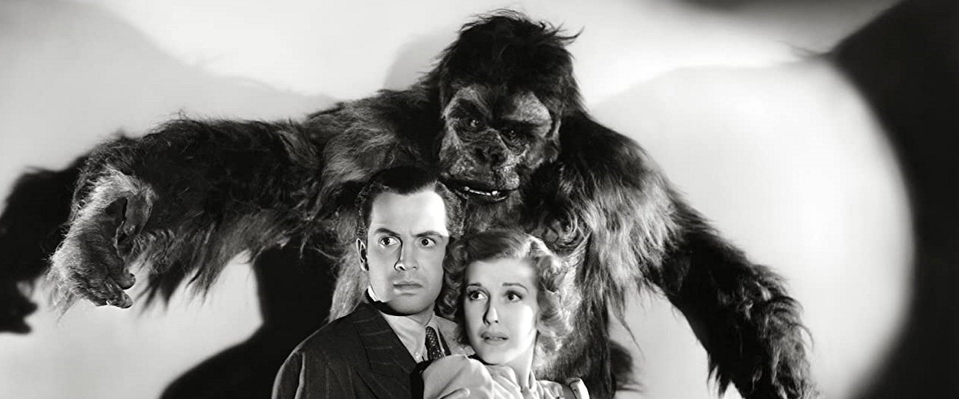 The Gorilla