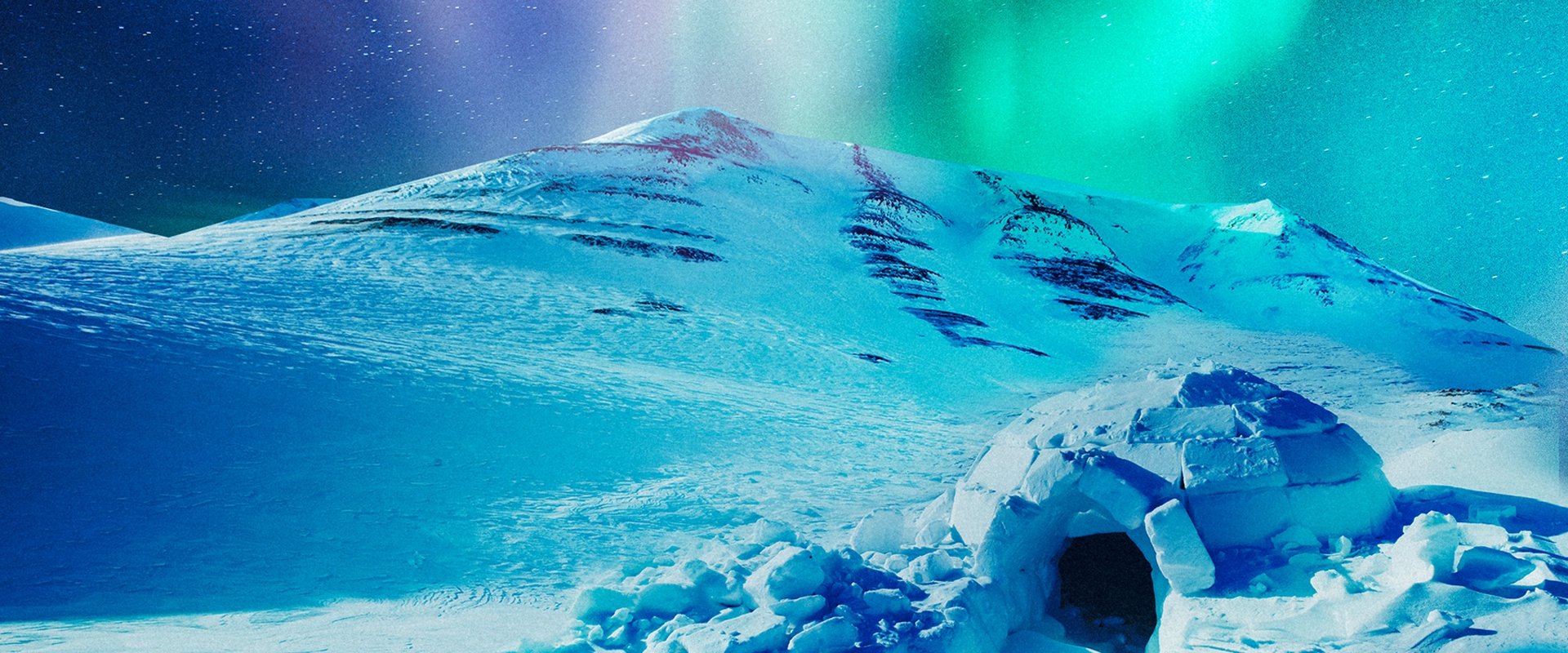 The Last Igloo