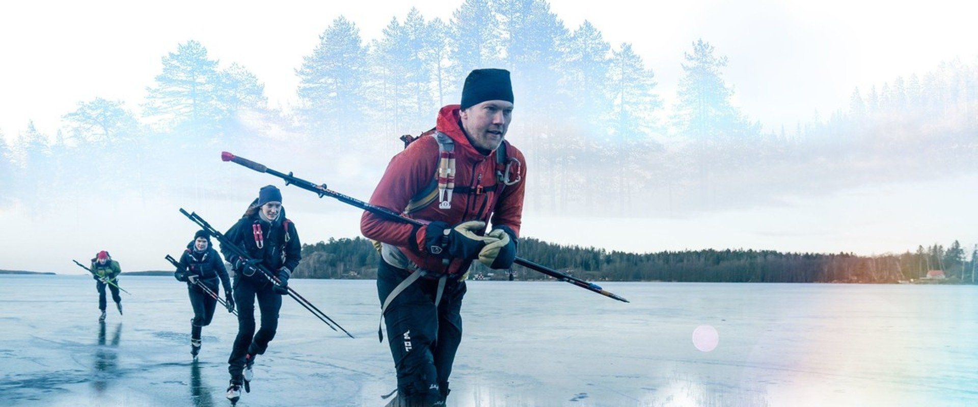 Wild Scandinavia