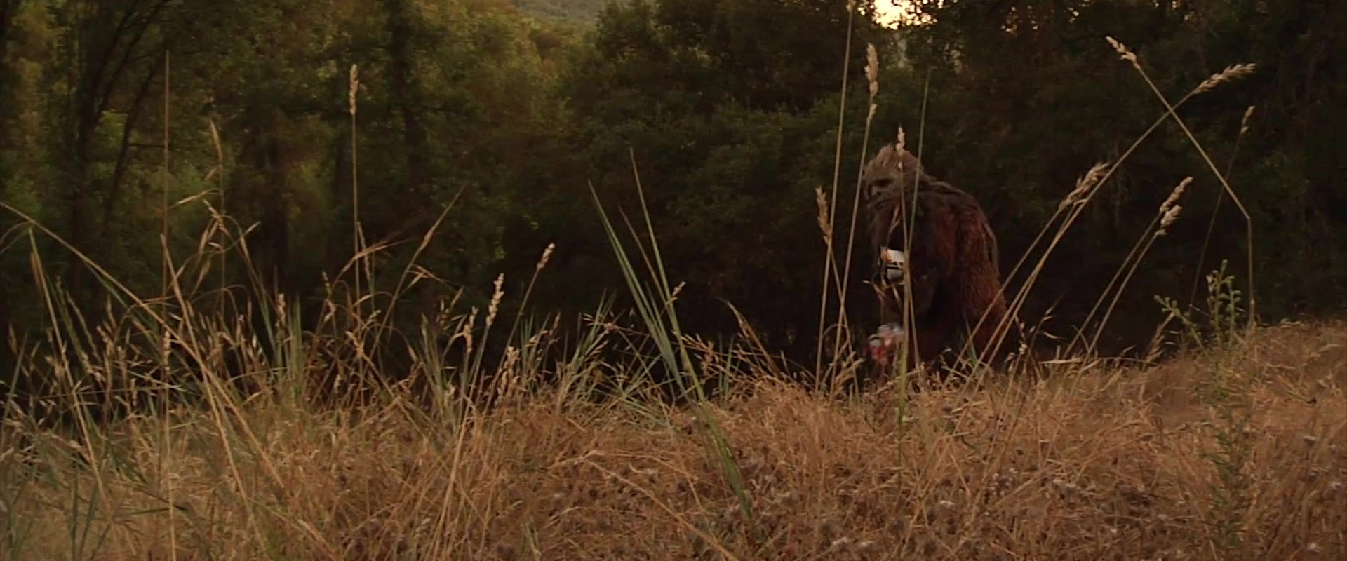 Bigfoot's Wild Weekend's banner image