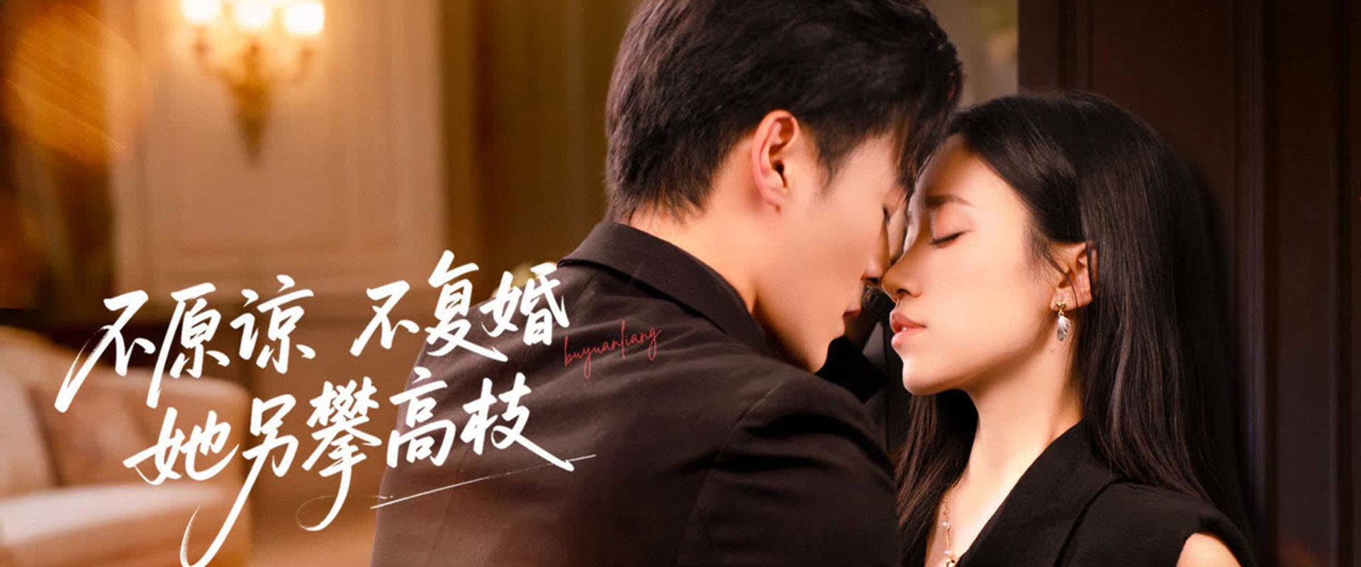 不原谅不复婚她另攀高枝's banner image