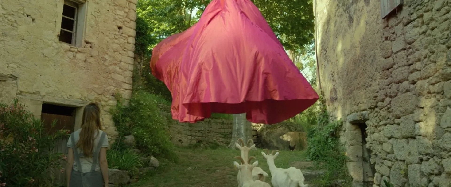 Les 3 Boutons's banner image