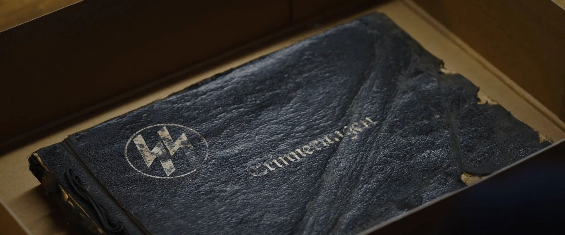 The Lost Album of the SS's banner image