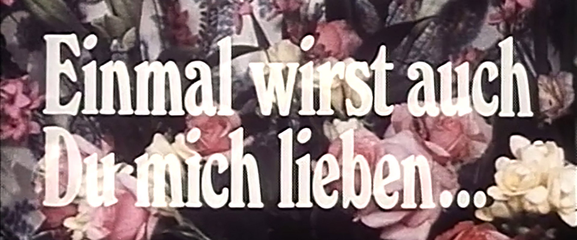 Einmal wirst auch du mich lieben. Über die Bedeutung von Heftromanen's banner image